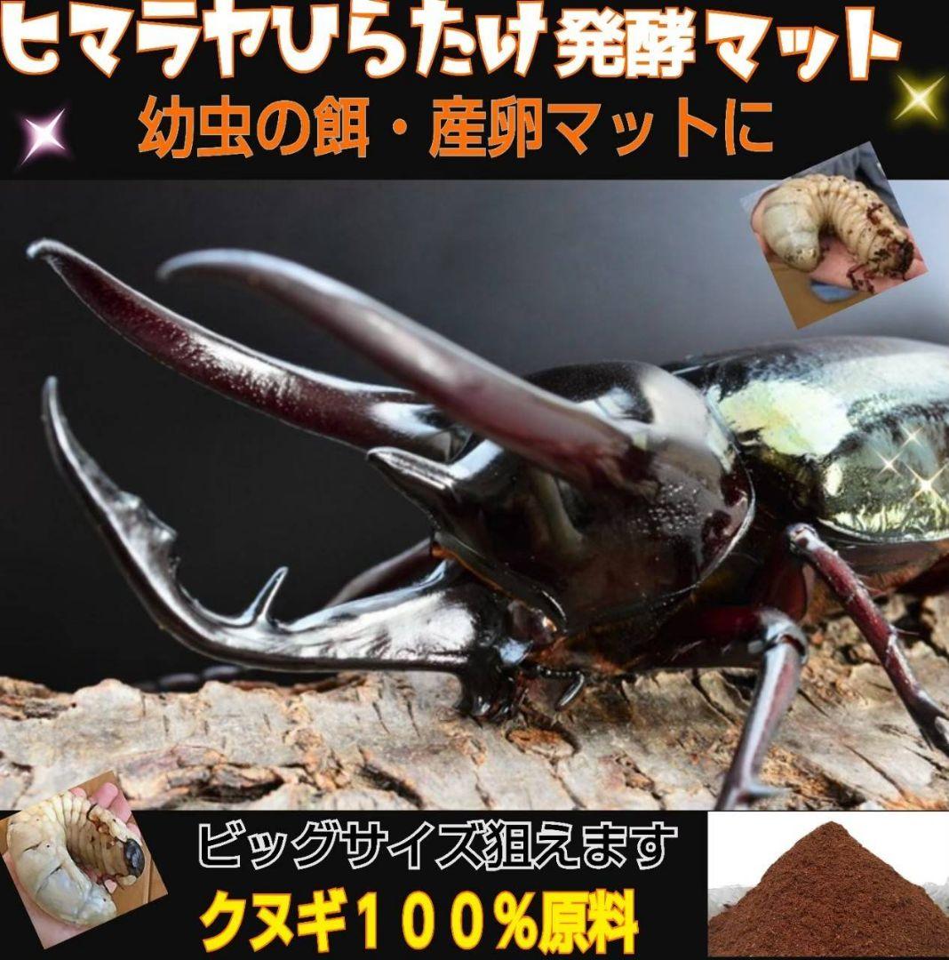 カブトムシ幼虫の餌　大きくなる！発酵マット【6袋】雑虫が湧きません！すぐ使える