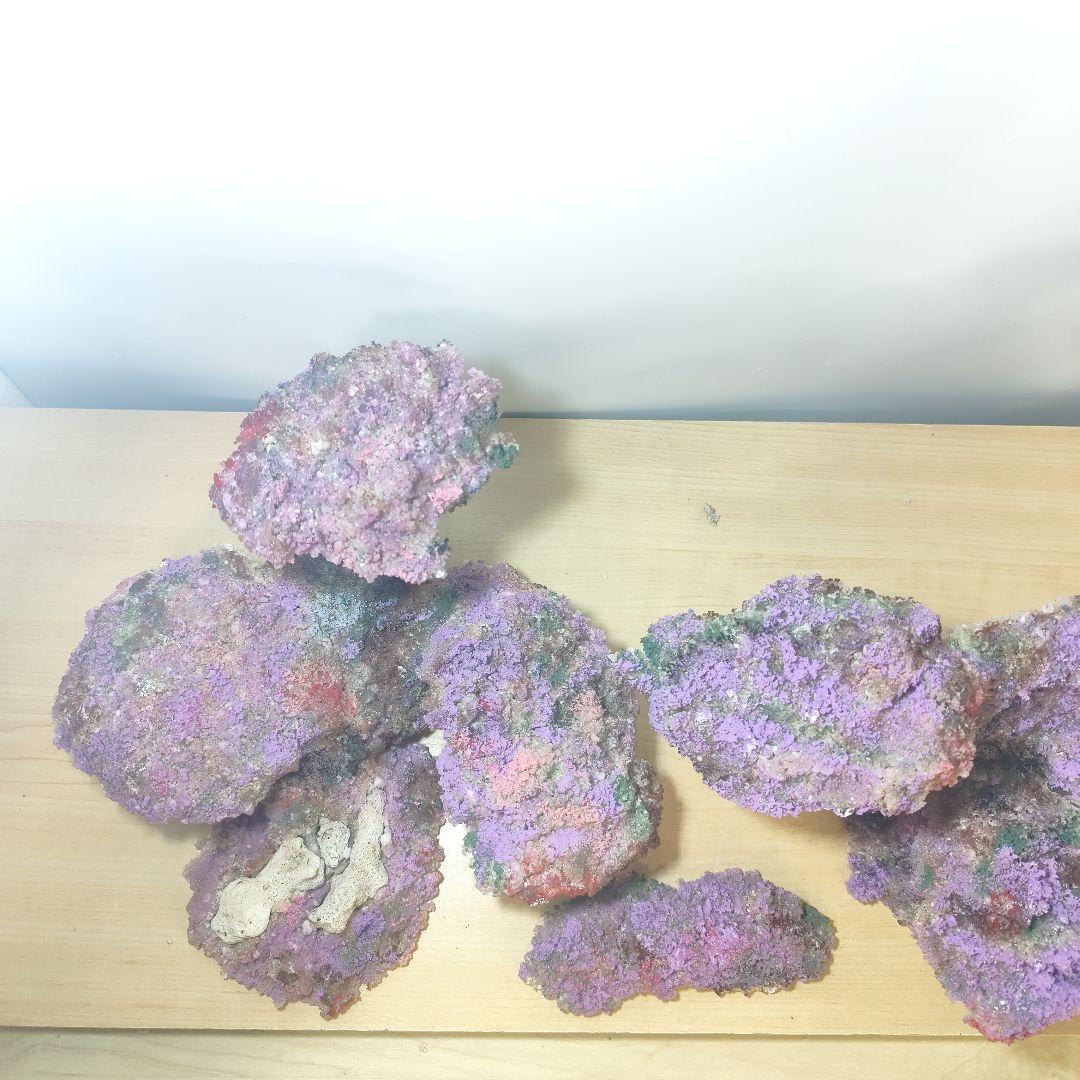 新品アク抜き不要 分離型人工ライブロック 60cm海水水槽用 レプリカ 多孔質4