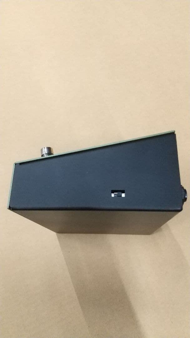ギター Free The Tone FT-2Y