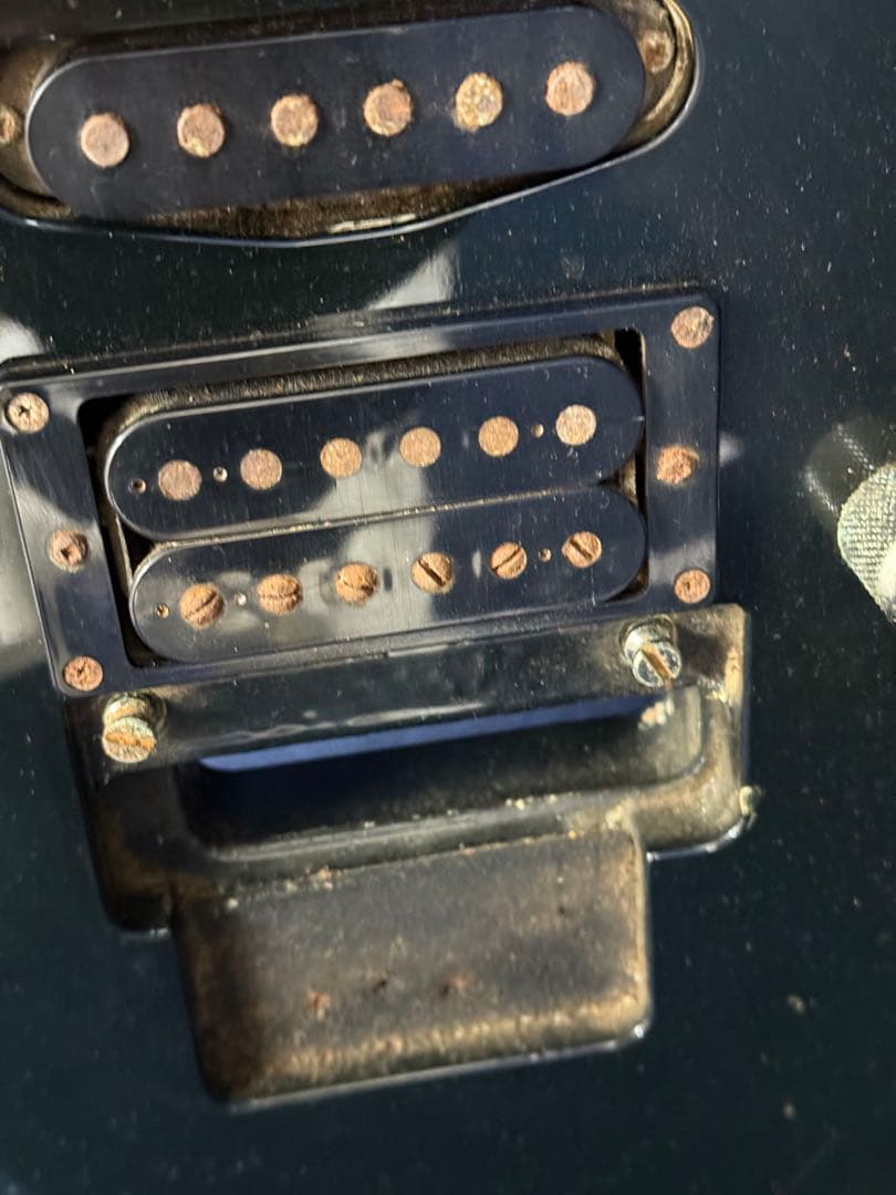 FERNANDES フェルナンデス エレキギター SUSTAINER