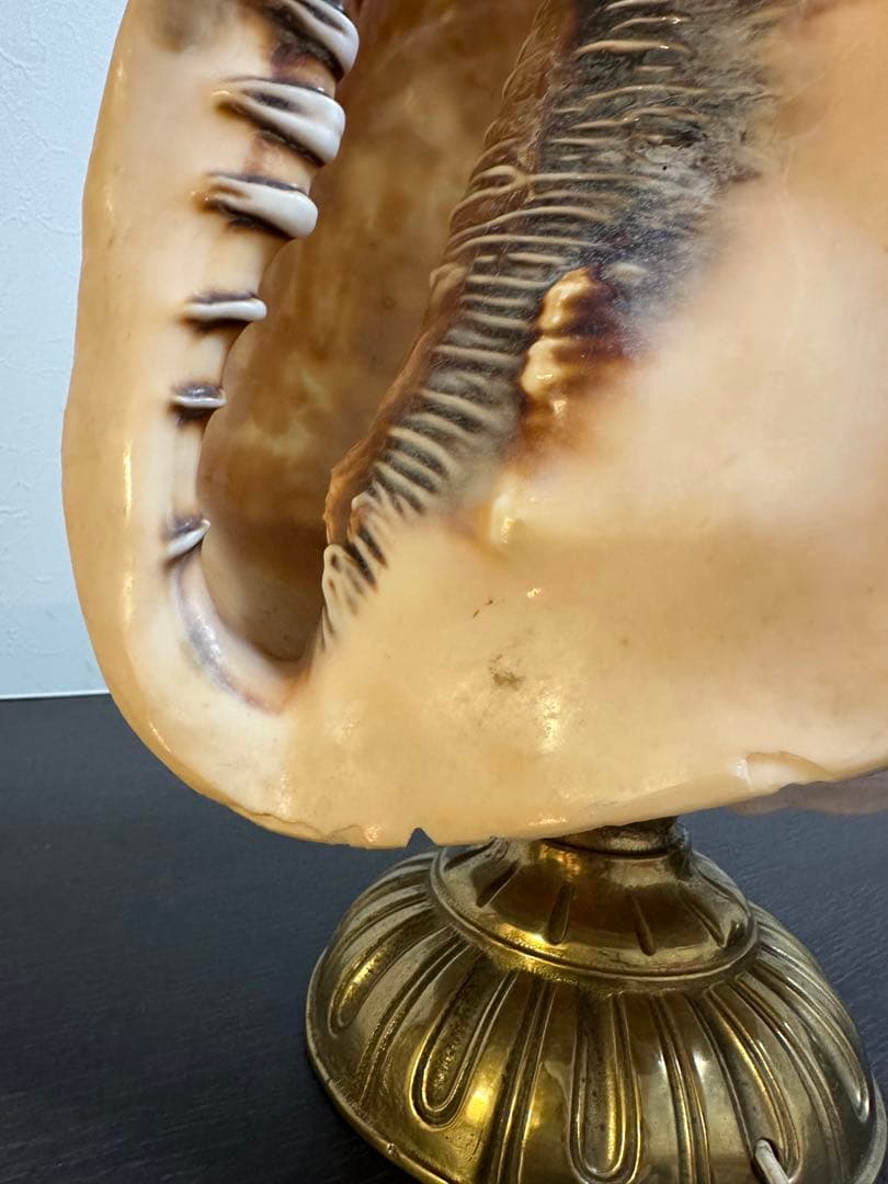 シェルランプ　アンティーク　貝殻の彫刻ランプ　カメオ