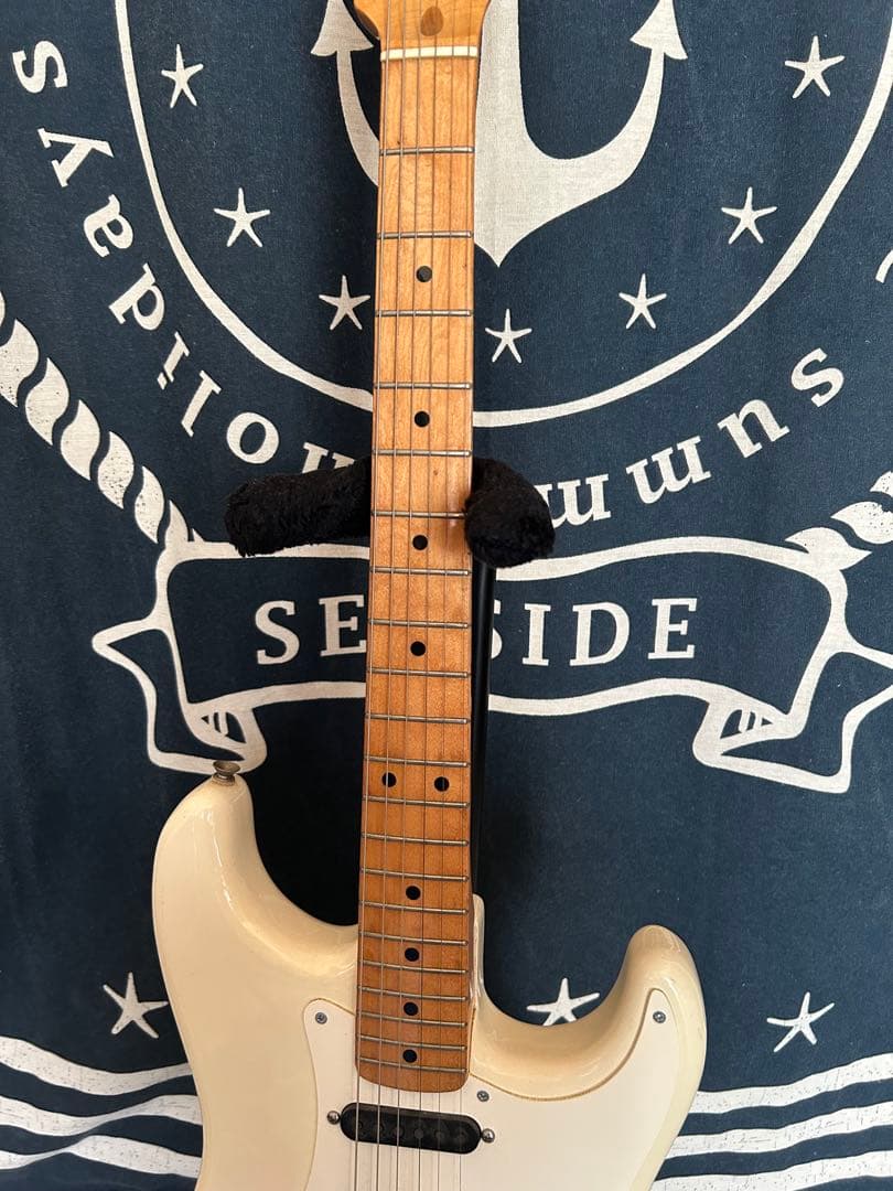 完売‼️売り切れました‼️