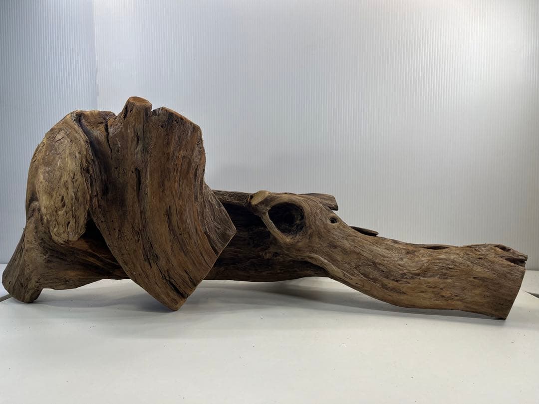 V70特大流木 アク抜き済み流木 爬虫類シェルター 登り木 インテリア 生け花