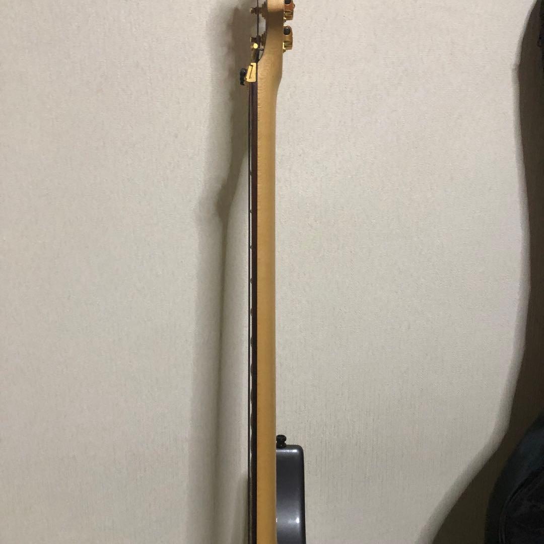 ケン　楽器　ソフトケース付き