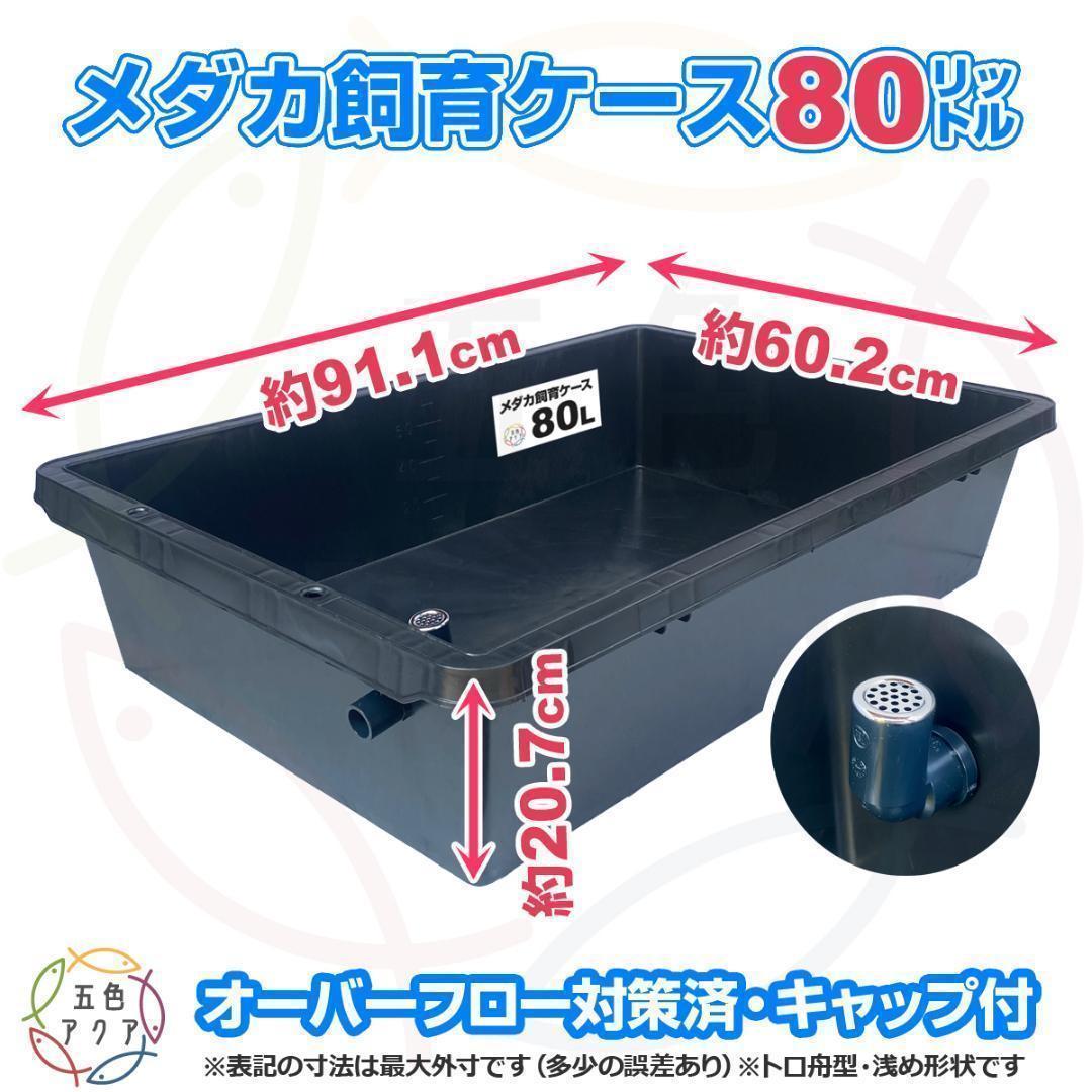 メダカ飼育ケース 80㍑黒x2個 トロ舟 オーバーフロー付 金魚飼育容器 越冬