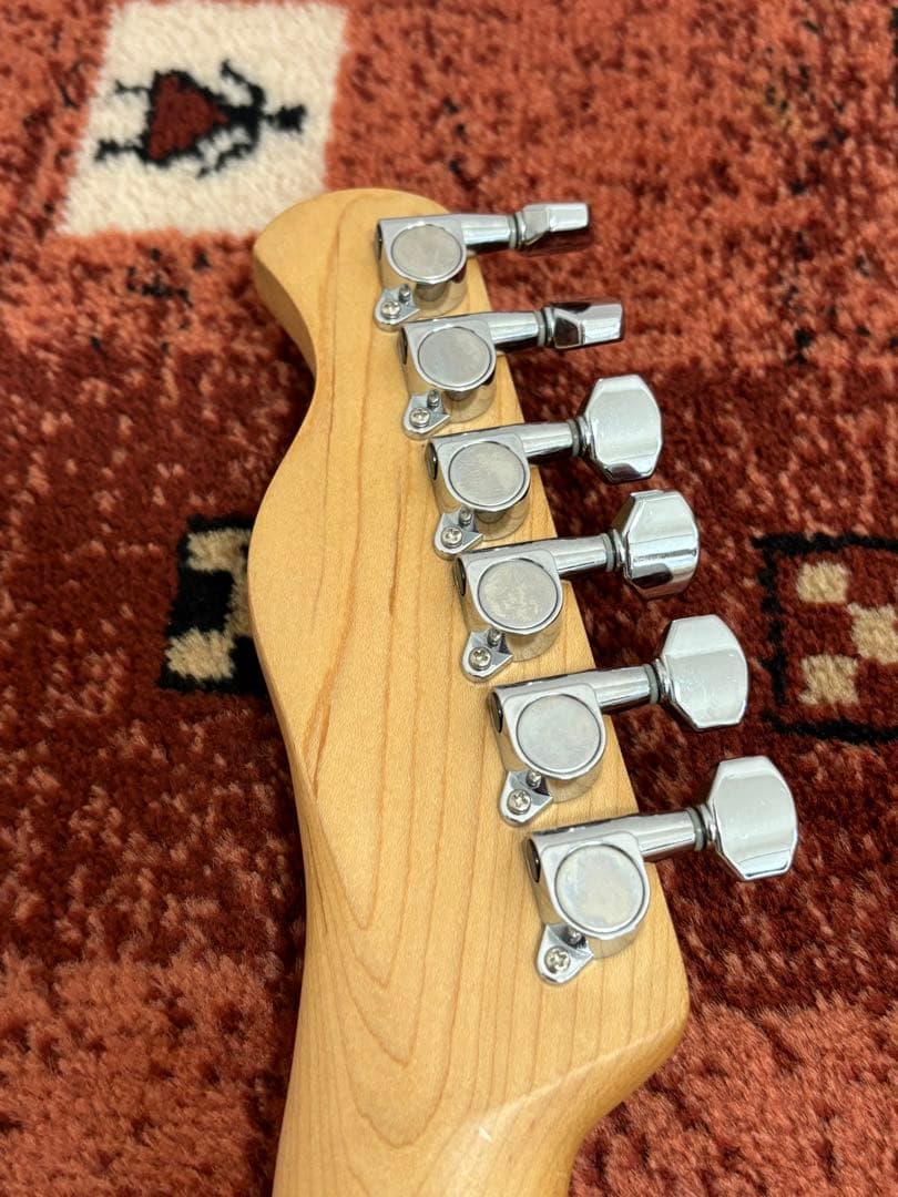 Bacchus Universe Series テレキャスブラック