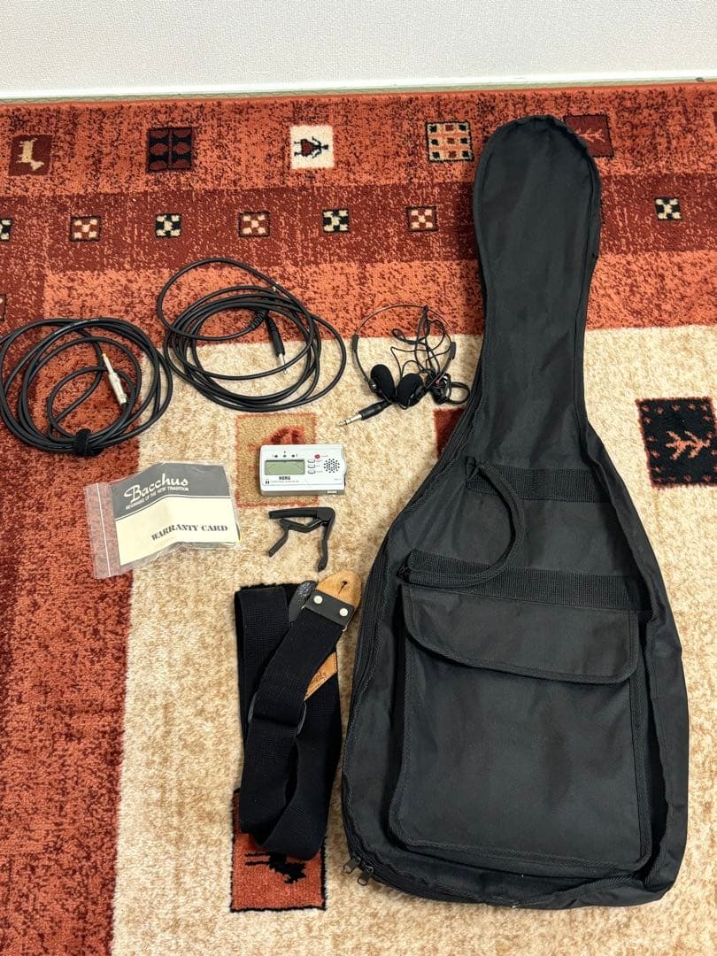 Bacchus Universe Series テレキャスブラック