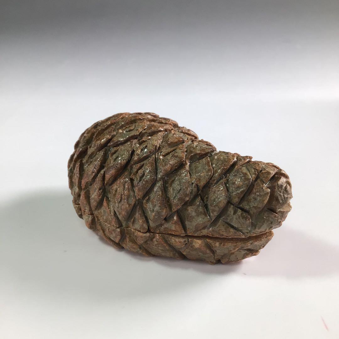 Ｒ６００　松笠香合　『出雲焼』『十一代　長岡空権造』『堀内宗完　兼中斎　箱書』