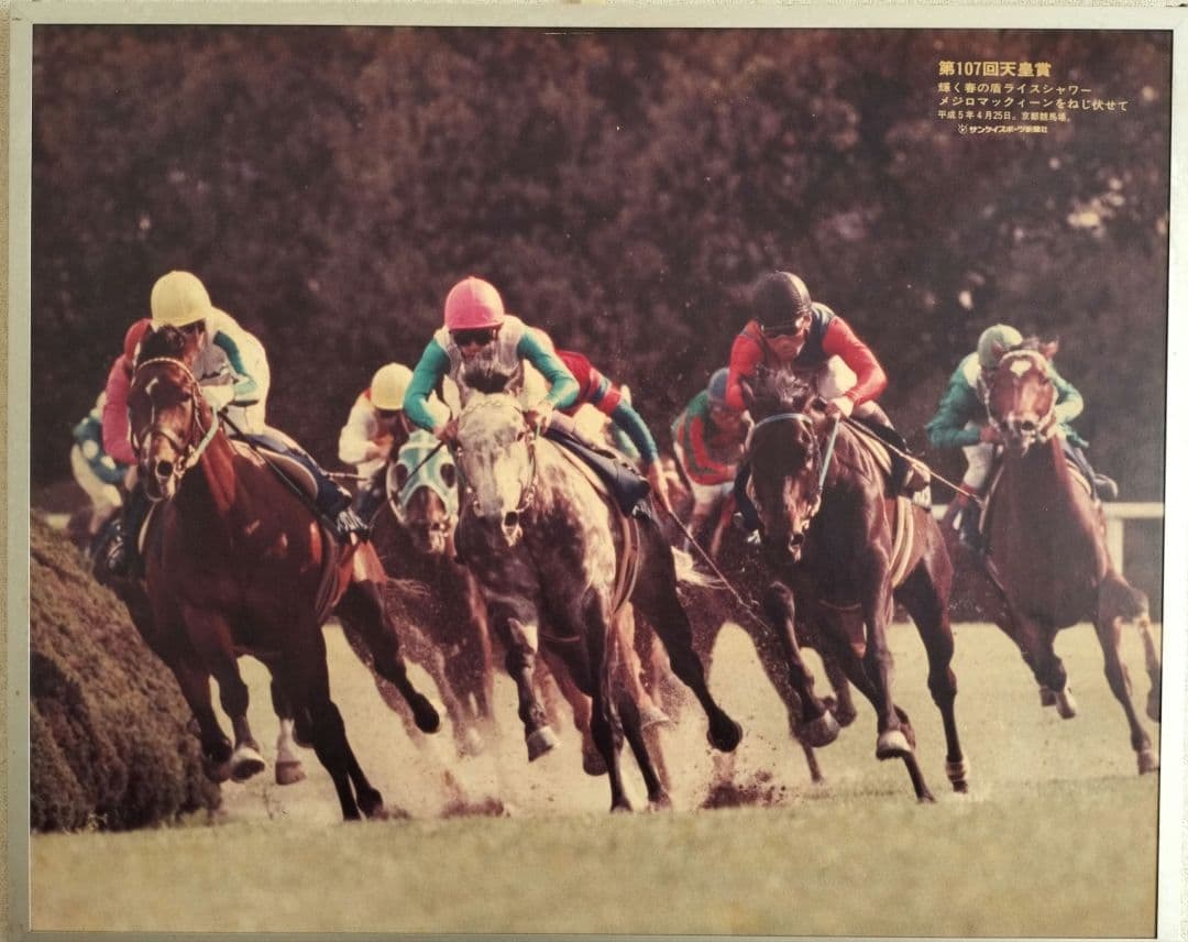 競馬パネル　天皇賞 春　ライスシャワー メジロマックイーン メジロパーマー