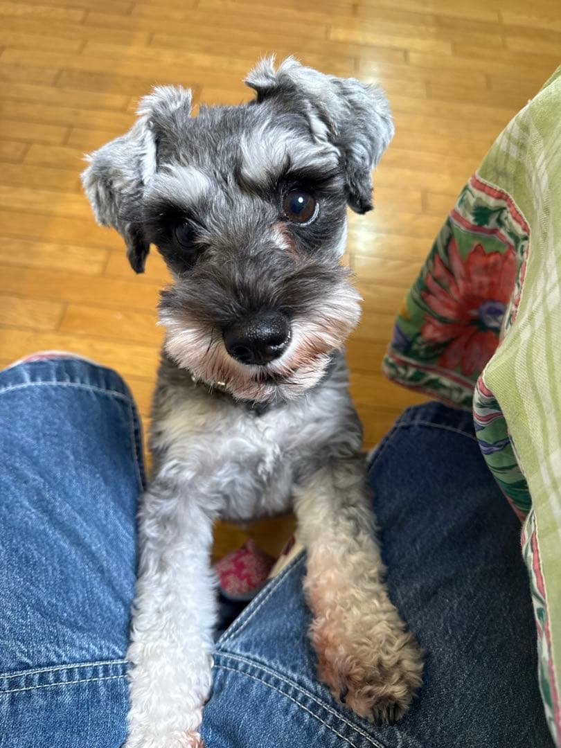 お願い致します。