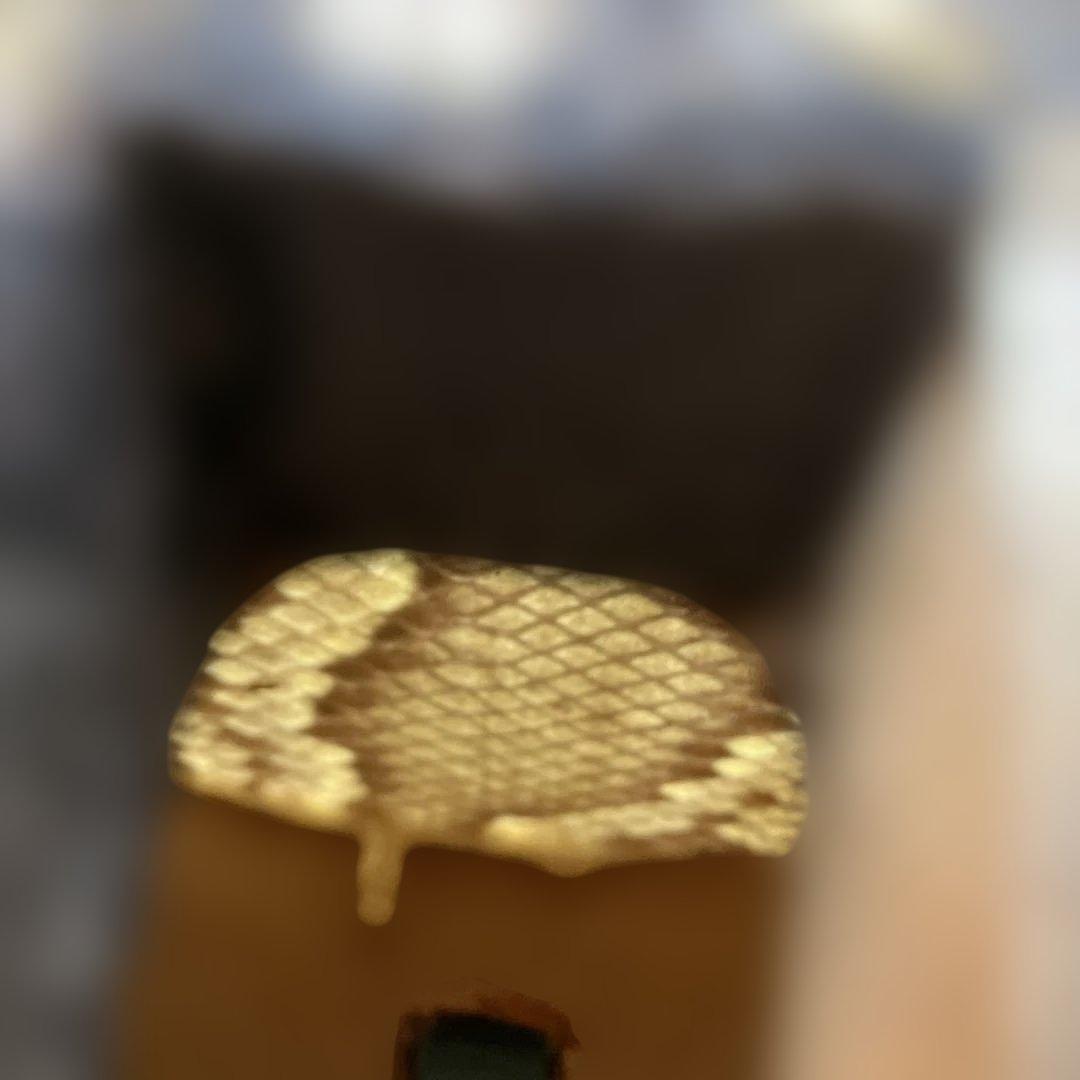 三線　チーガ　本張り（蛇皮1枚）中古品