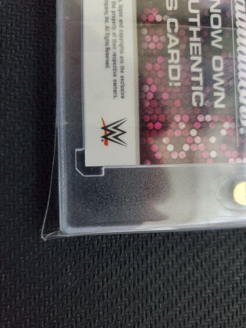 ニッキー　ベラ　キスカード　1/1 TOPPS WWE