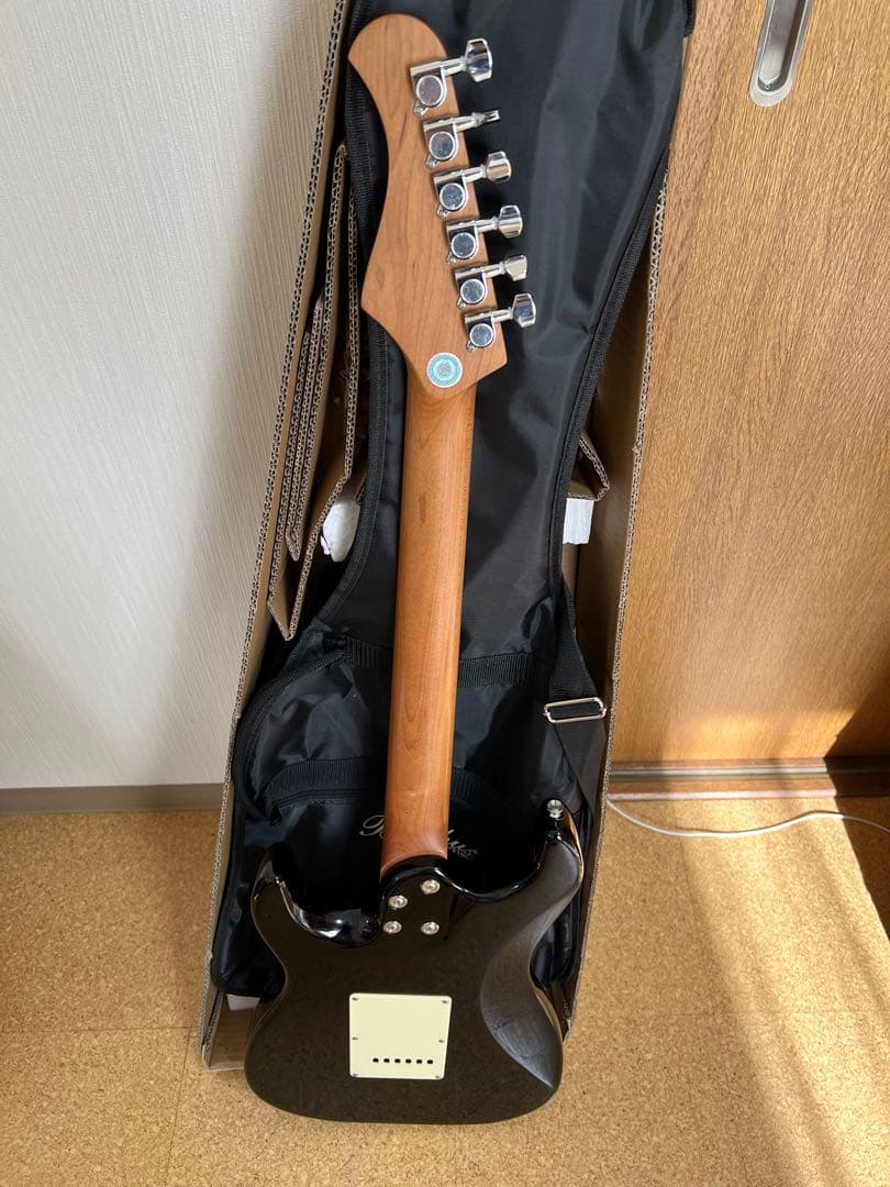 BACCHUS バッカス （GS-2DX RSM BLK ）ストラト