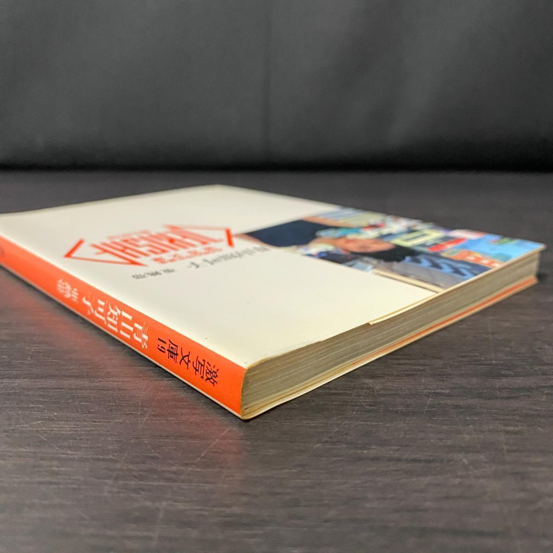 写真集 青山知可子 亜熱帯 篠山紀信 GORO 特別編集 激写文庫