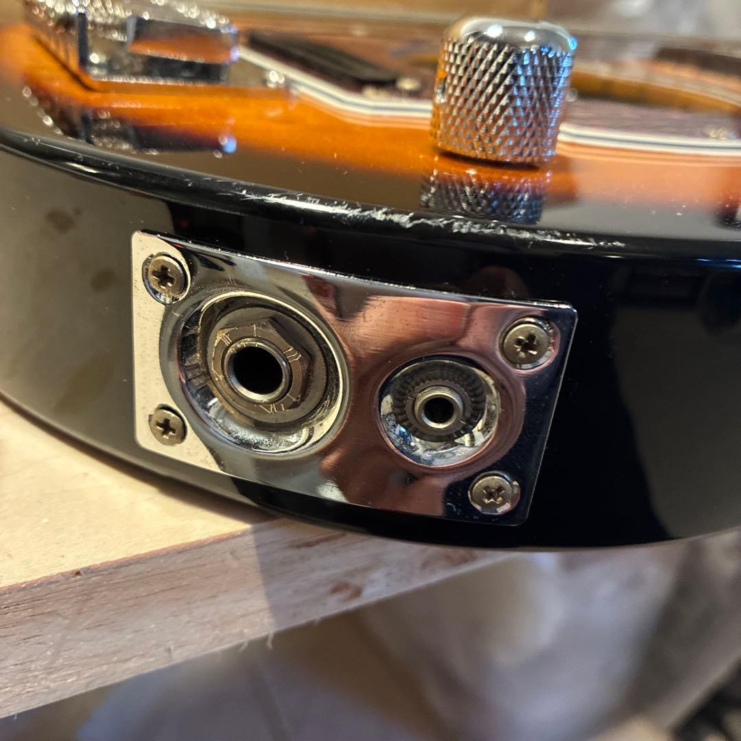 ピグノーズPGG200 サンバースト