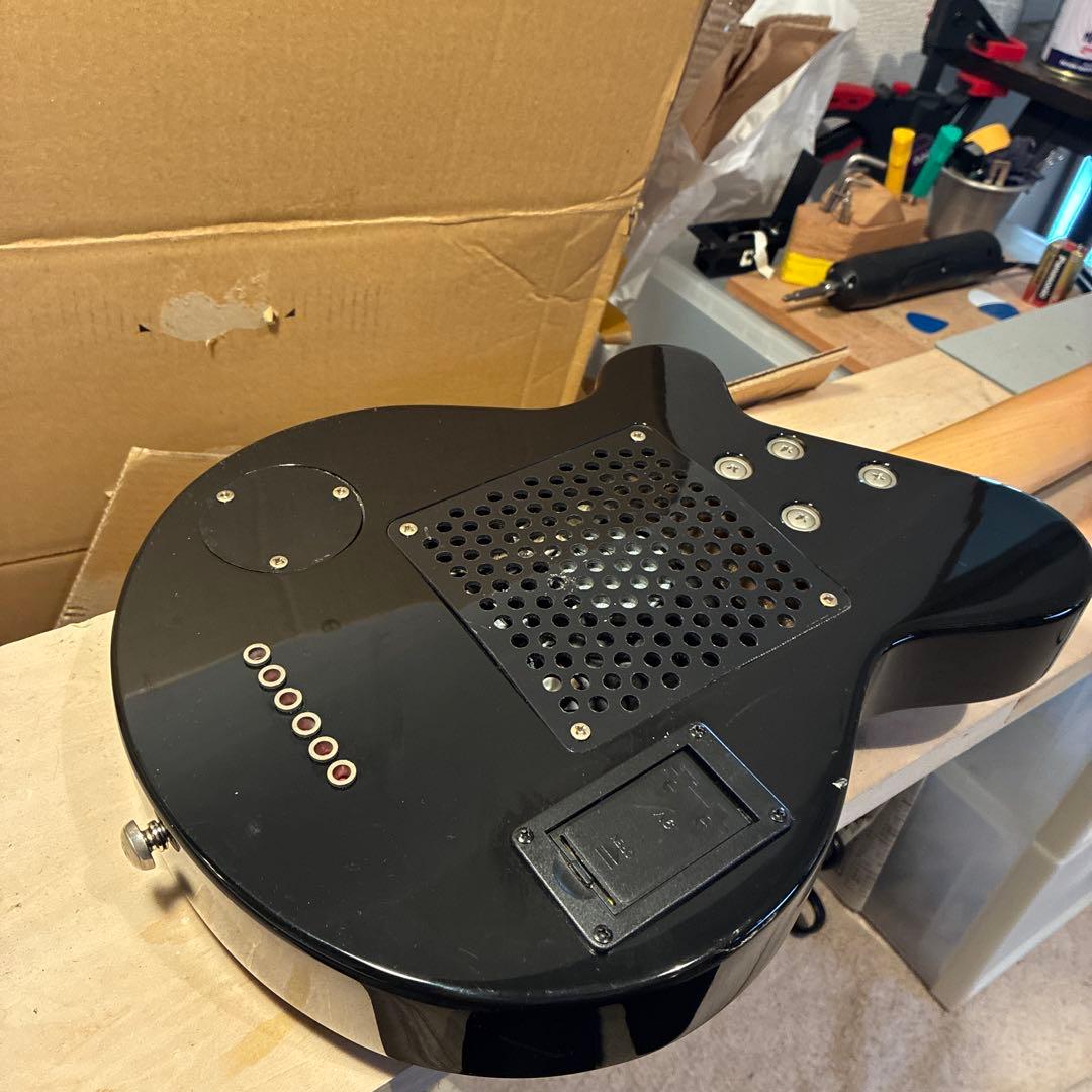 ピグノーズPGG200 サンバースト