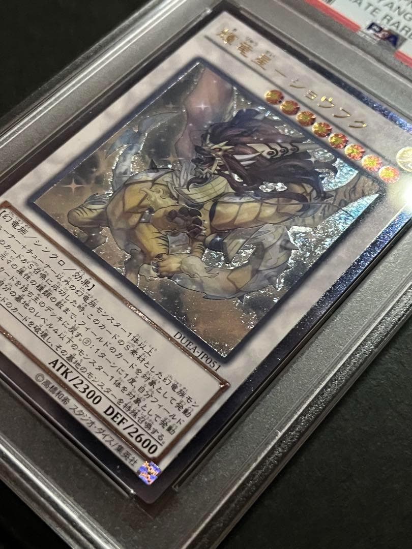 【PSA10:鑑定12枚】輝竜星－ショウフク　遊戯王