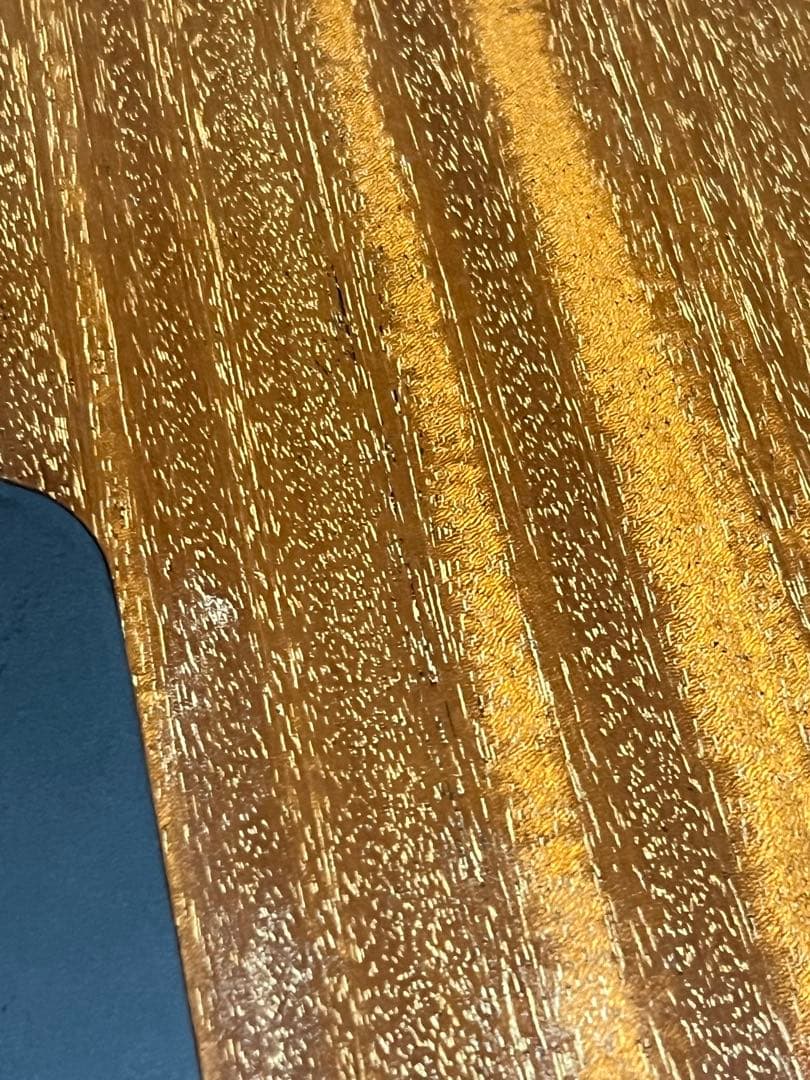 cassy 専用　provision プロビジョン　レスポールスペシャル　DC