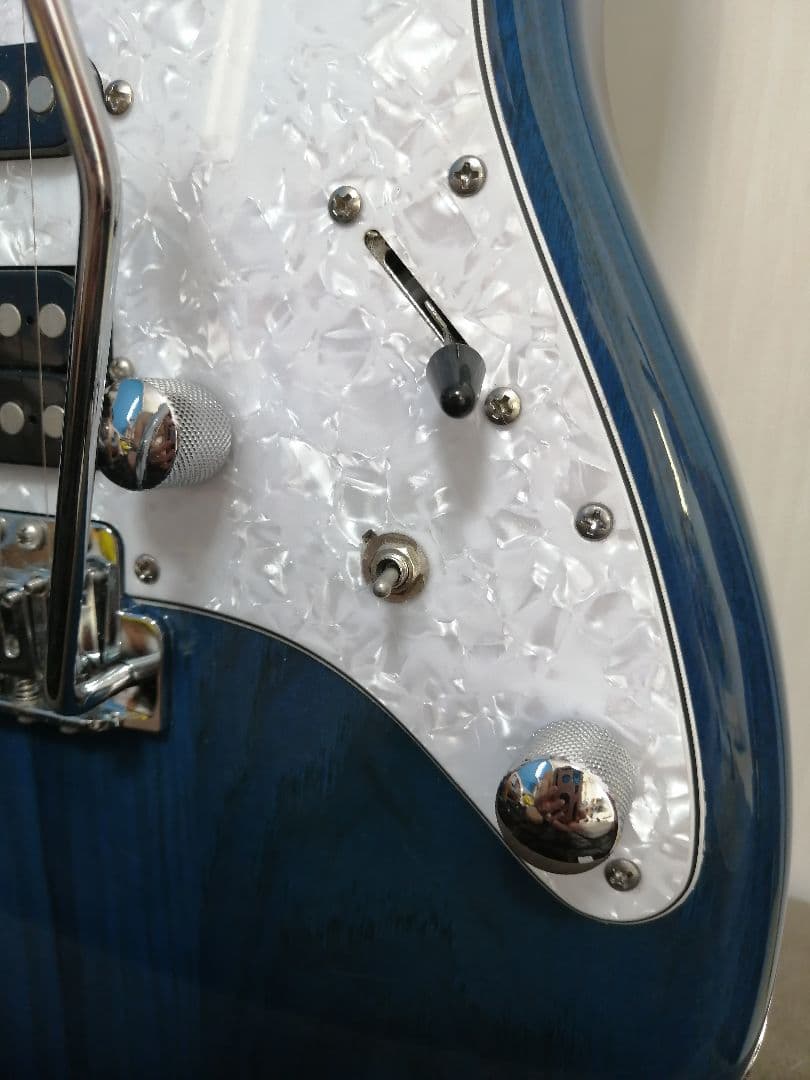 SCHECTER ORIENTAL LINE OL-ST（DBL）