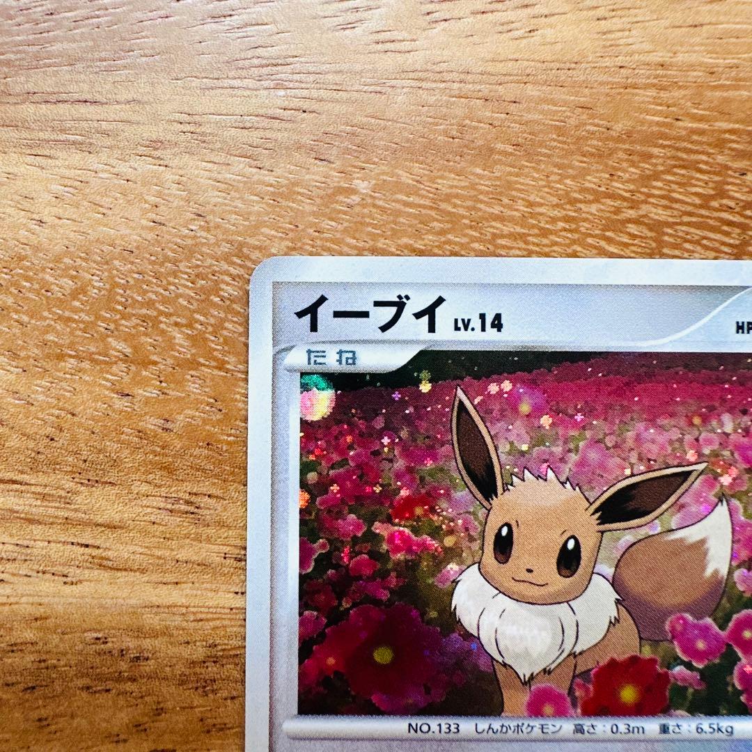 イーブイ PROMO DPプロモーションカード 063/DP-P