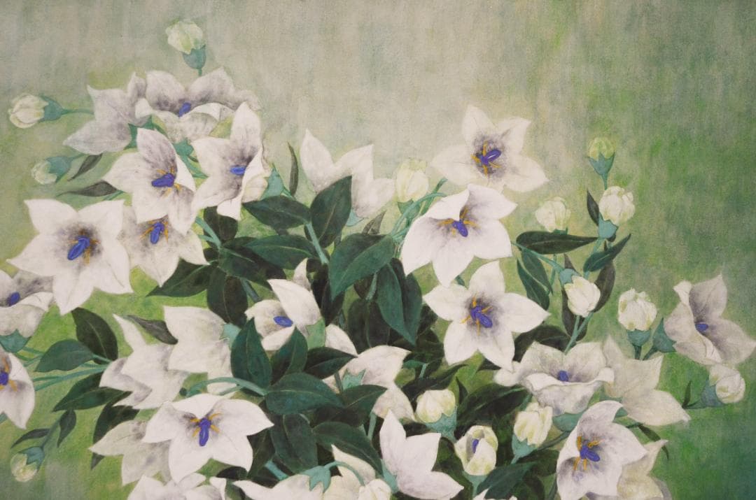 【作品名 「桔梗」 岩絵の具 日本画 】東山魁夷の流派