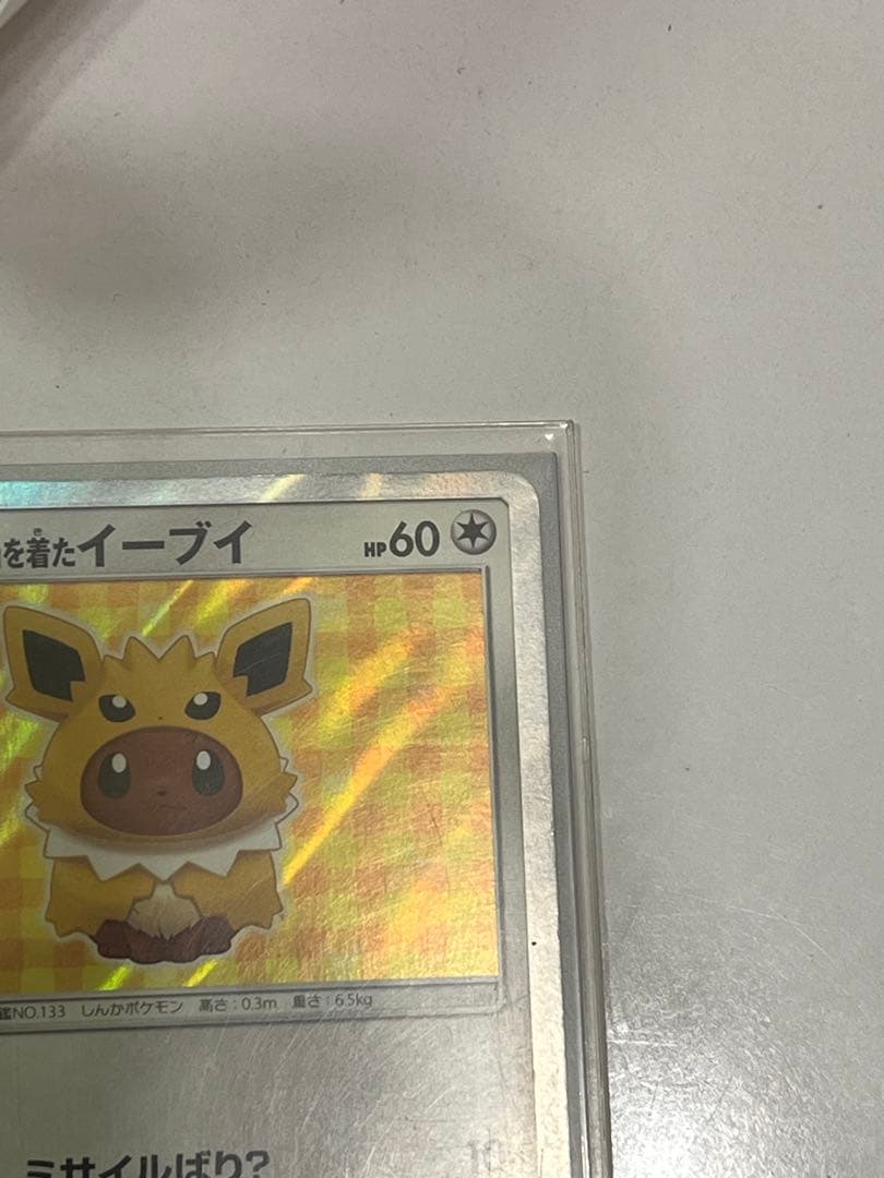 ポンチョを着たイーブイ サンダース 目立つ傷などなし
