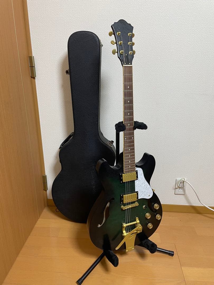 グラデーショングリーン エレキギター ハードケース付き