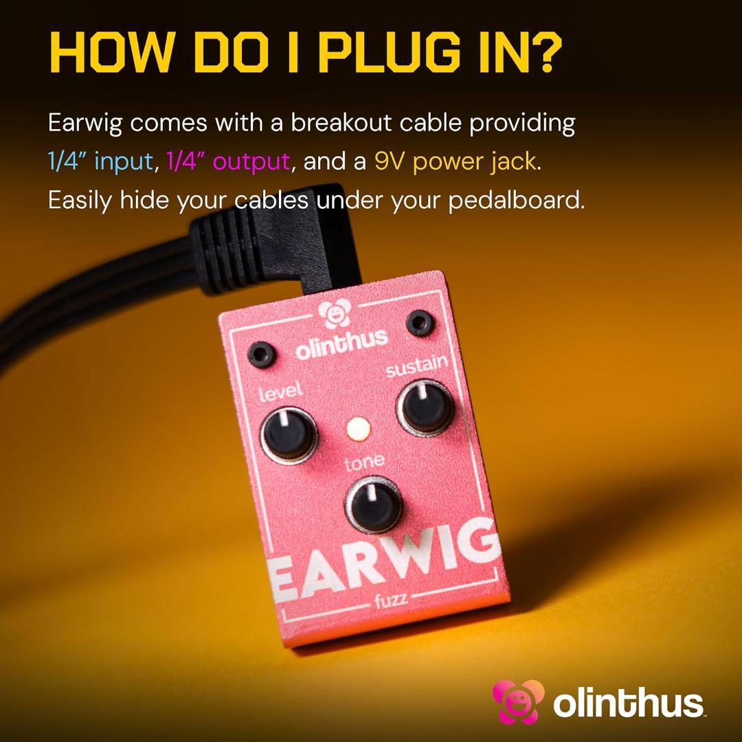 Olinthus オリンサス エフェクター ファズ Earwig [入出力用ブレ