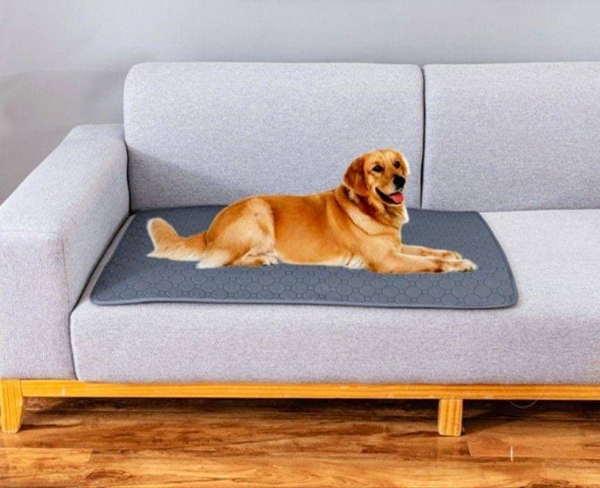Ｌベージュ シート トイレ　洗える　ペット　犬　猫　吸水　マット　2枚