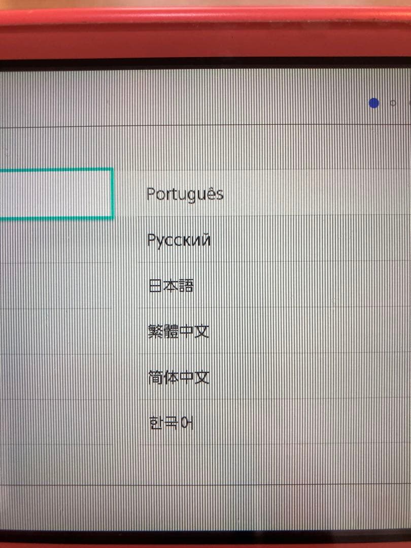 Nintendo Switch Lite 充電器　ジャンク品