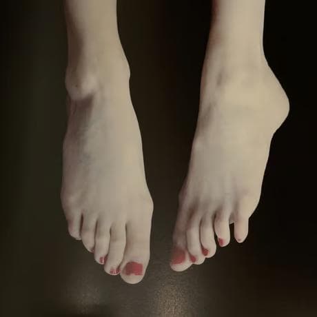 Galateas /Carla Van de Puttelaar★値下げしました