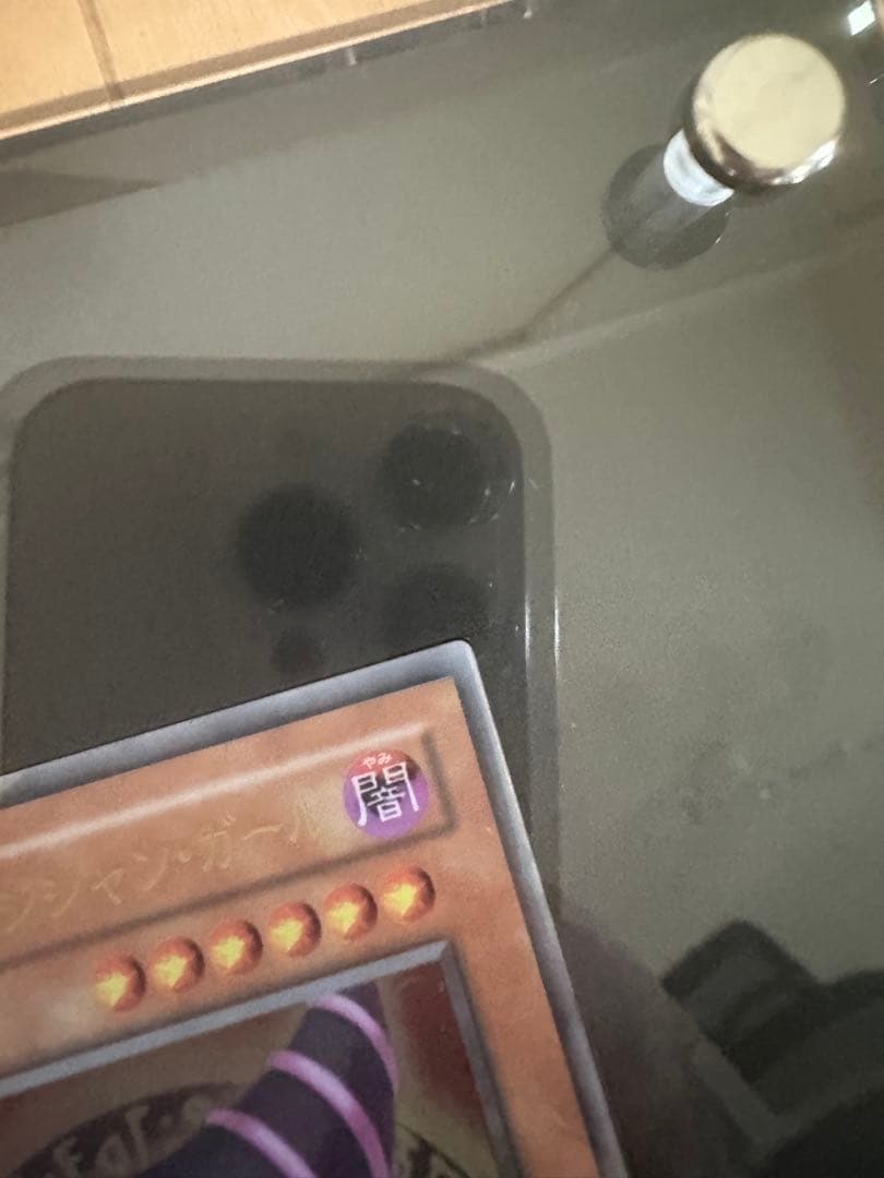 【24時間以内+匿名発送￼￼】ステンレス ブラックマジシャンガール ダンボール