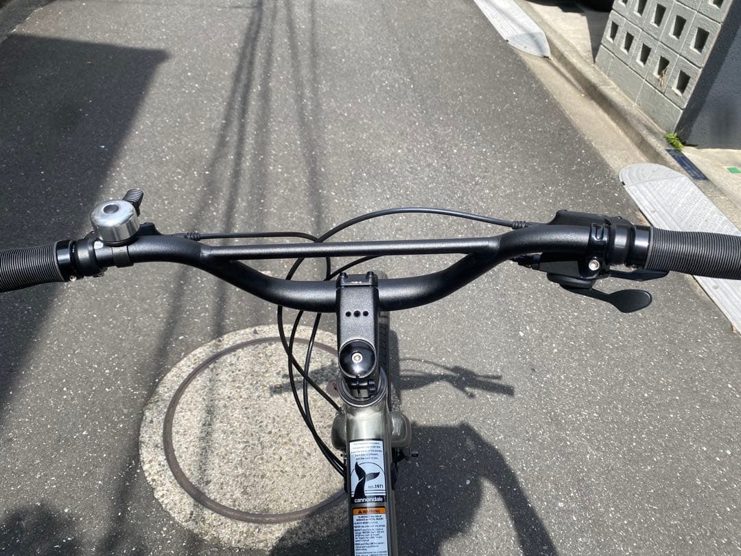 【手渡し限定】 キャノンデールTREADWELL 2 LTD色RAW Mサイズ