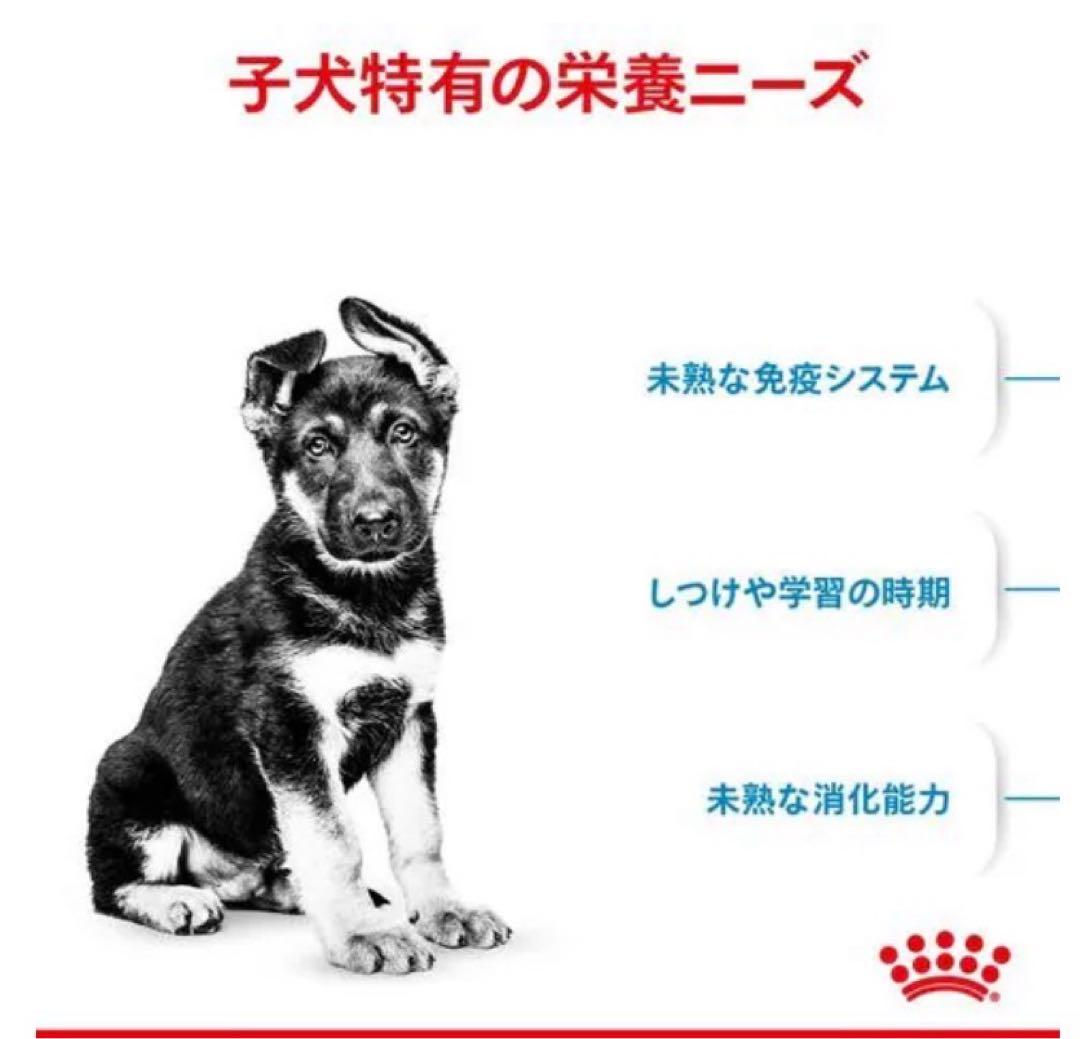 ロイヤルカナン マキシパピー 16kg 大型犬 子犬用※新品未開封
