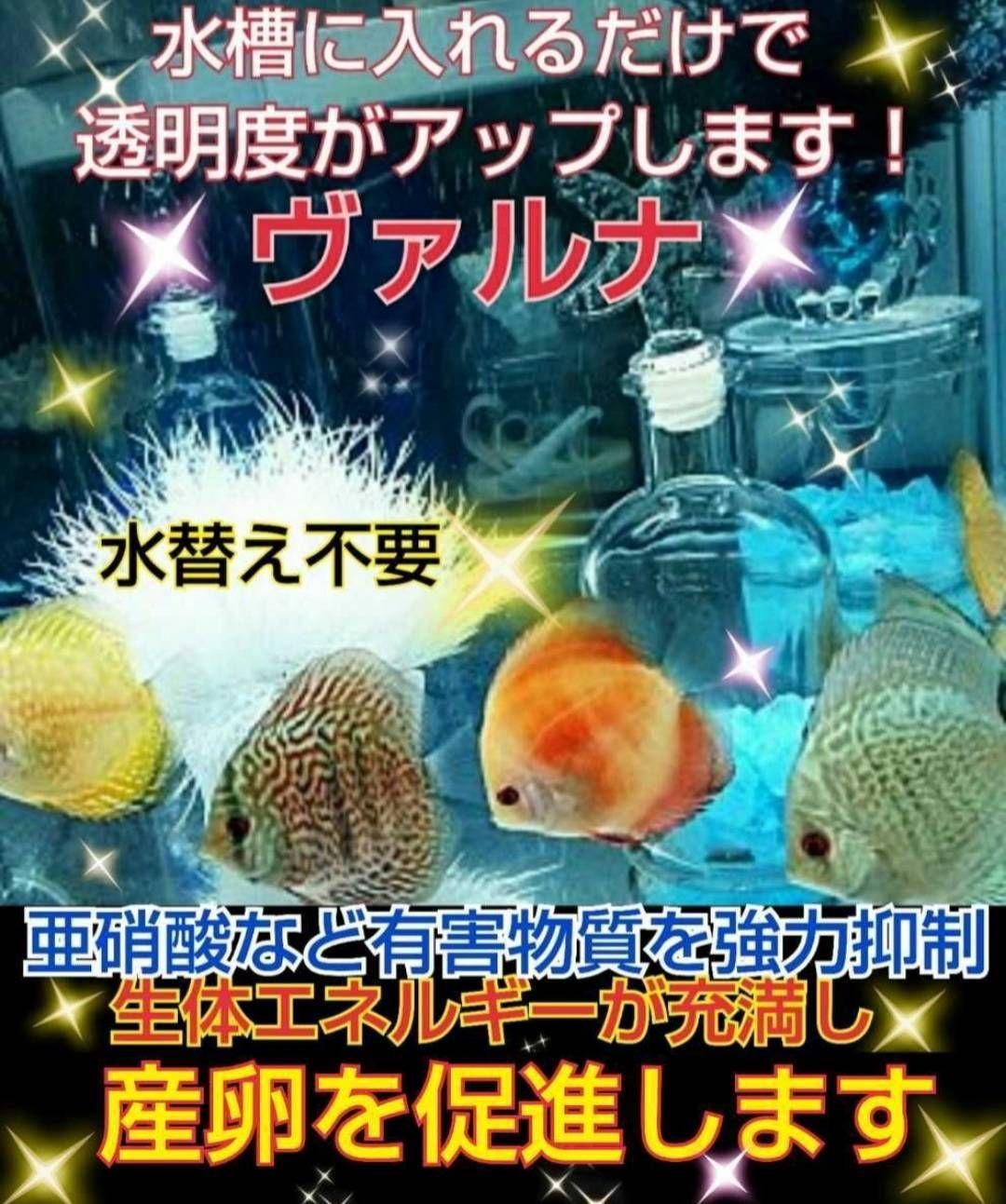 らんちゅうの飼育者絶賛！水槽の水を綺麗に保つ【ヴァルナ】有害物質、病原菌強力抑制