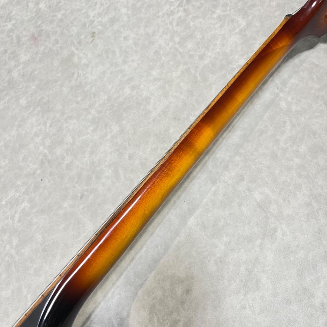 Tokai バイオリンベース　東海楽器　フレイムメイプル