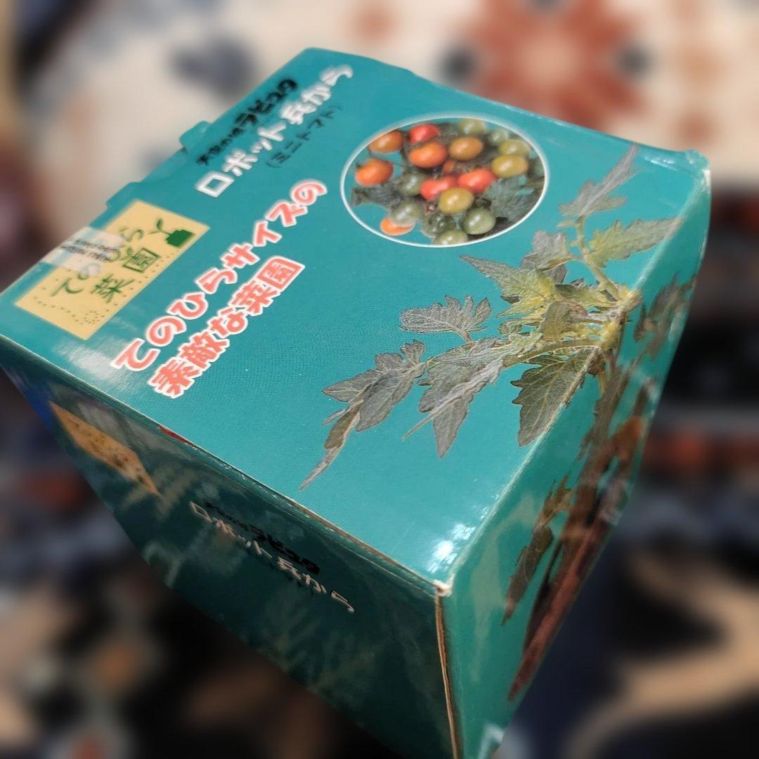 超レア！天空の城ラピュタ　ロボット兵から　てのひら菜園　未開封品