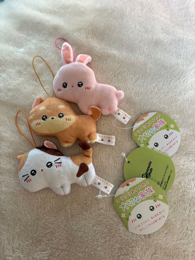 クリクリおメメの♪大切な家族 マスコット 3個セット