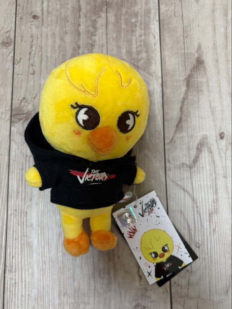 スキズ ポガリ セット straykids Felix