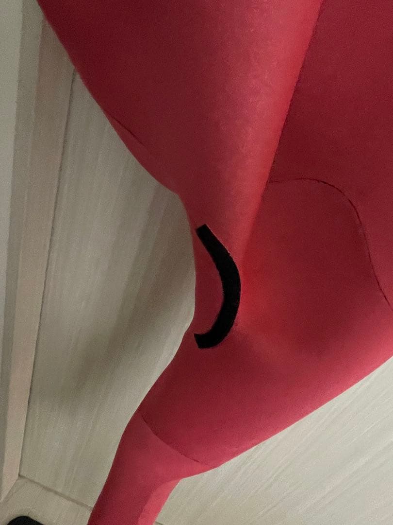 ［ワンシーズンのみ使用］Coltex ウェットスーツ　オールジャージセミドライ