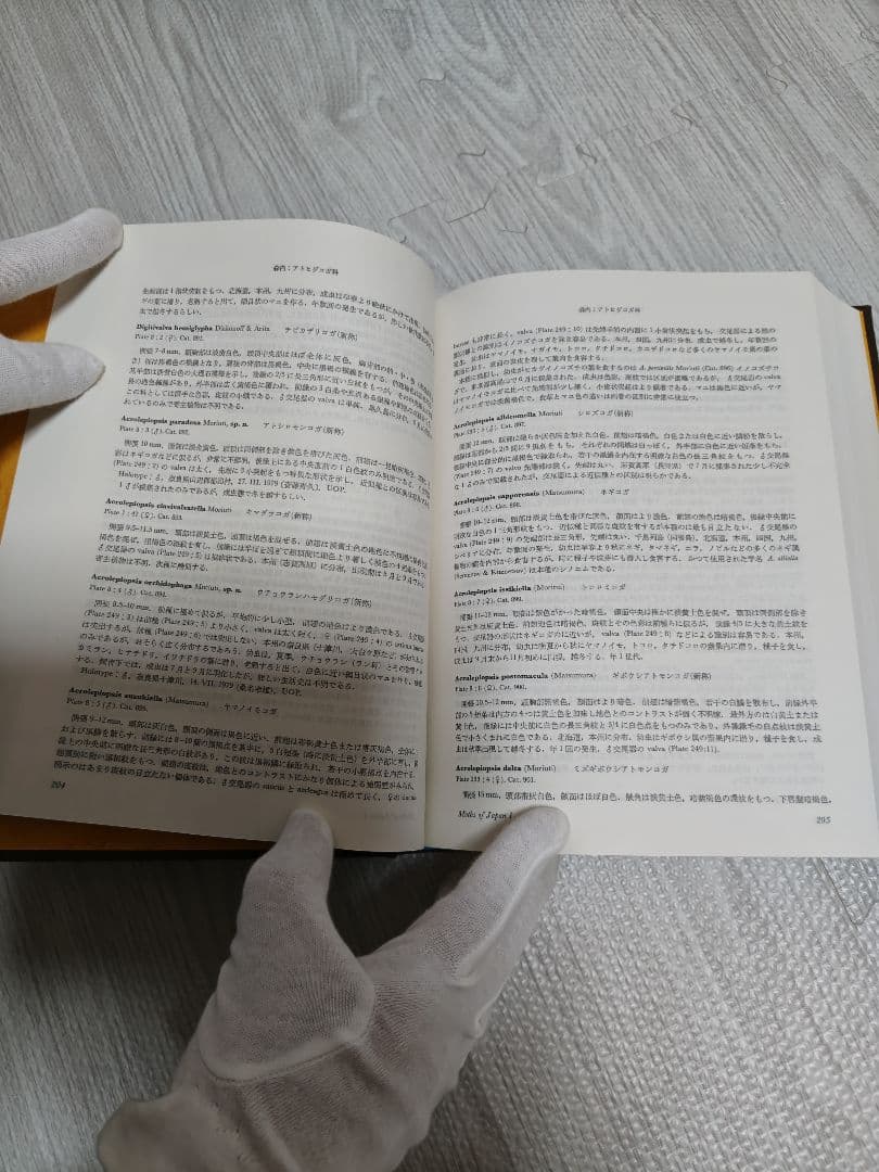 日本産蛾類大図鑑/全２巻　外函,輸送用函付属　講談社　第１刷　新品同様美品