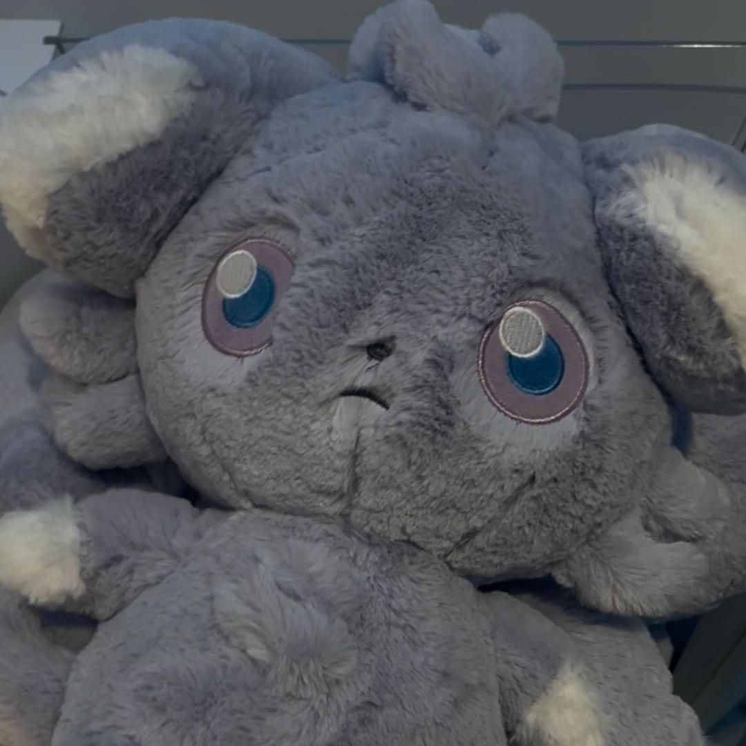 ふわふわ抱きぬいぐるみ ニャスパー 10体セット