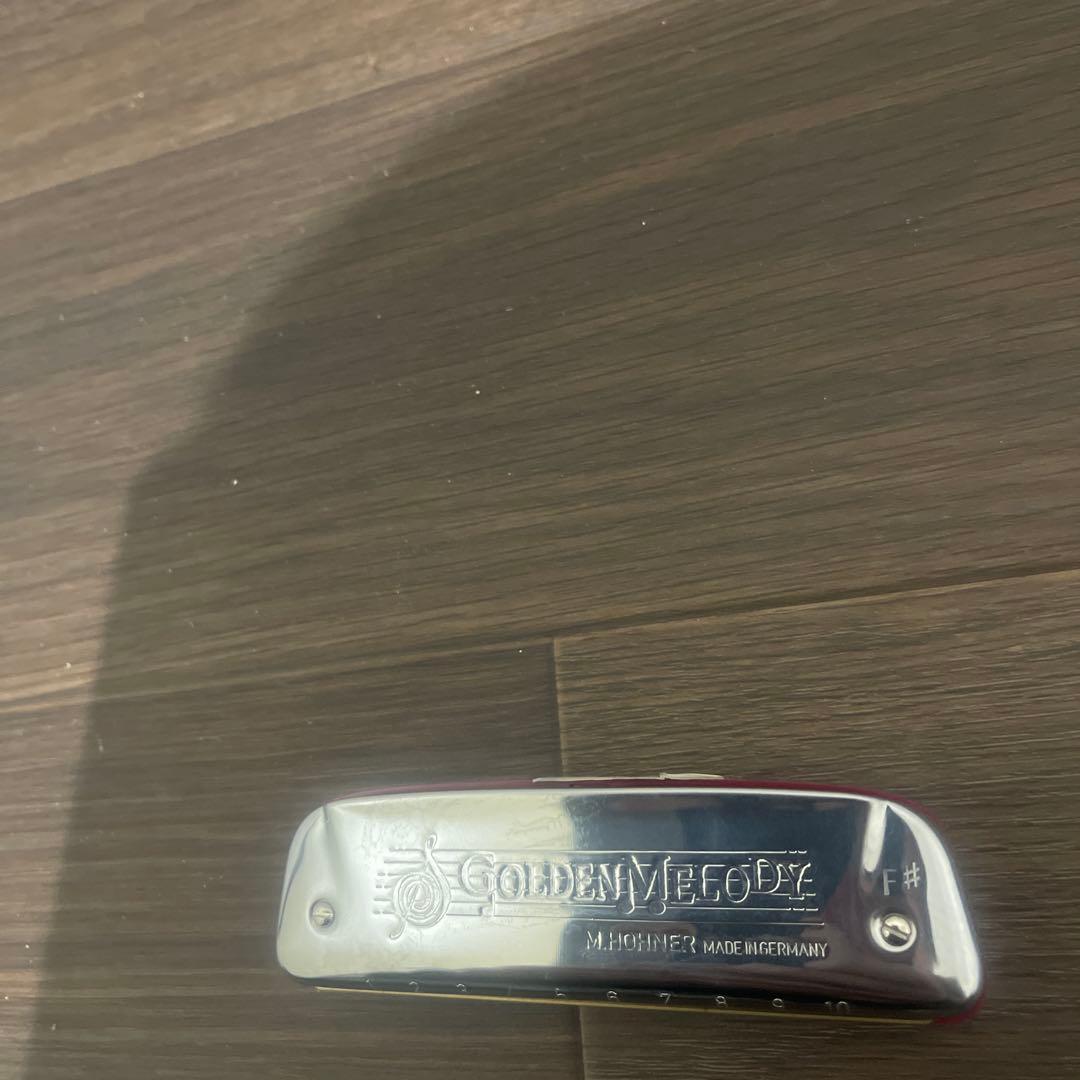フェン Buy3S M.Hohner ゴールデンメロディ 10本セット