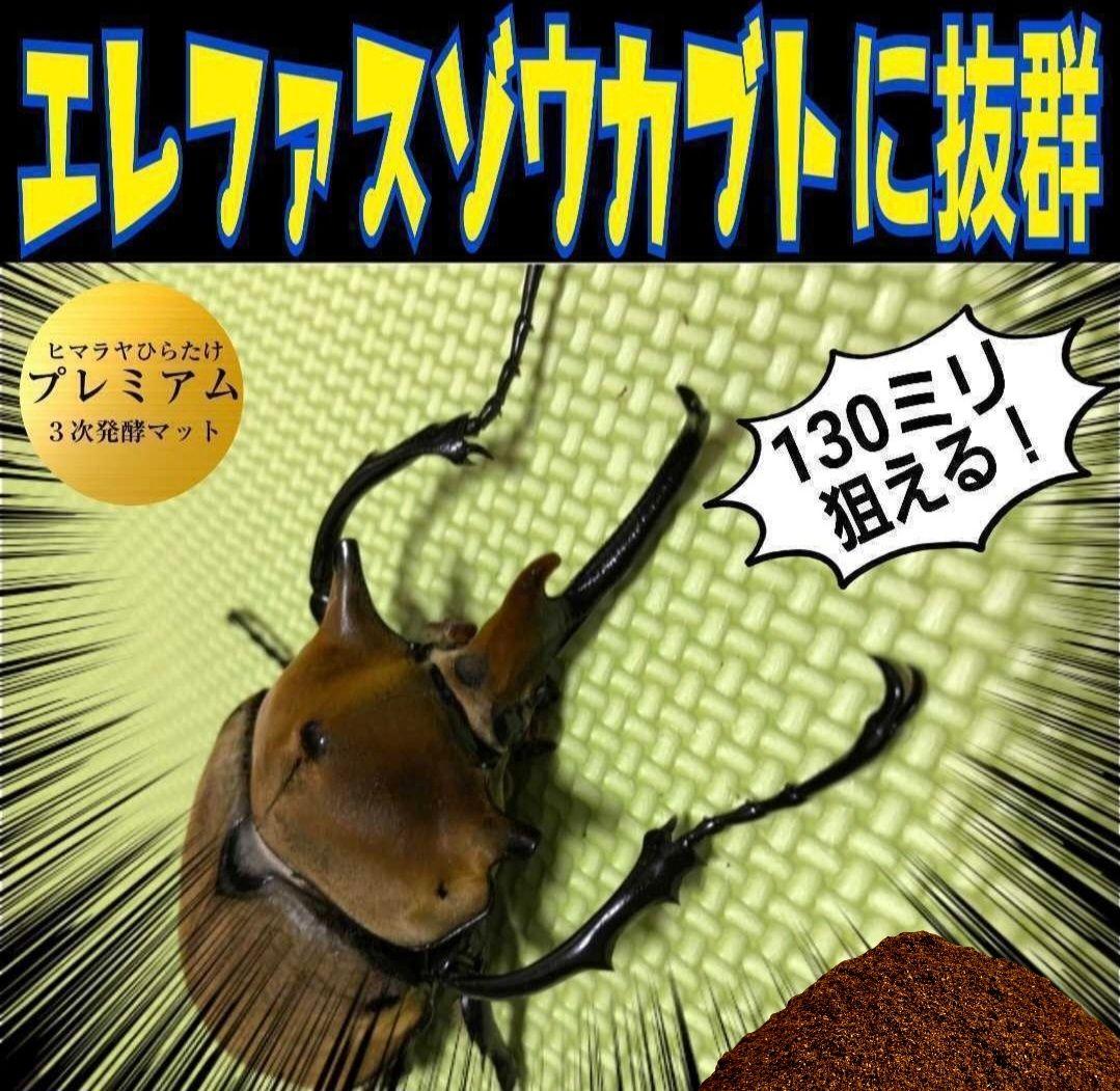 特大20Lボックス入【2ケース】プレミアム発酵マット☆カブトムシ幼虫を入れるだけ