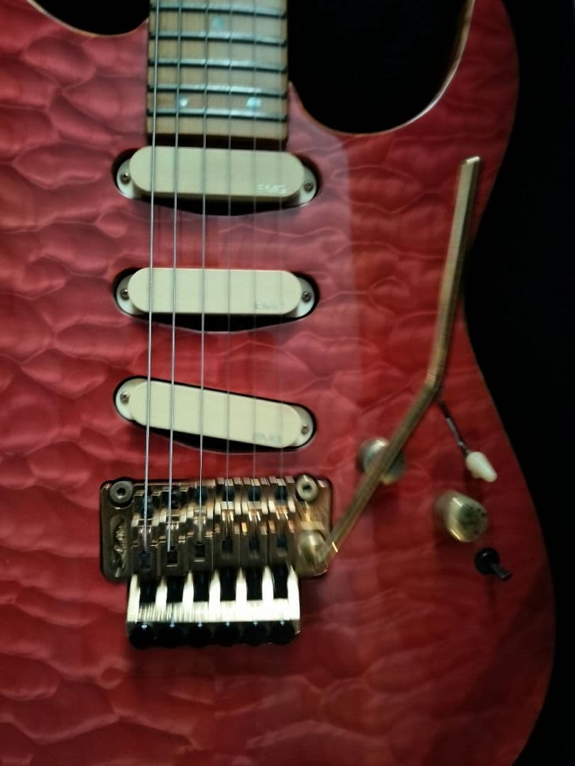Fernandes LA-240KK L'Arc-en-Ciel kenモデル
