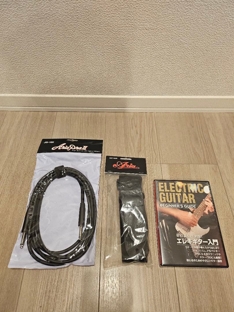 新品同様 Aria Pro II アリアプロ2 MACシリーズ おまけ付き