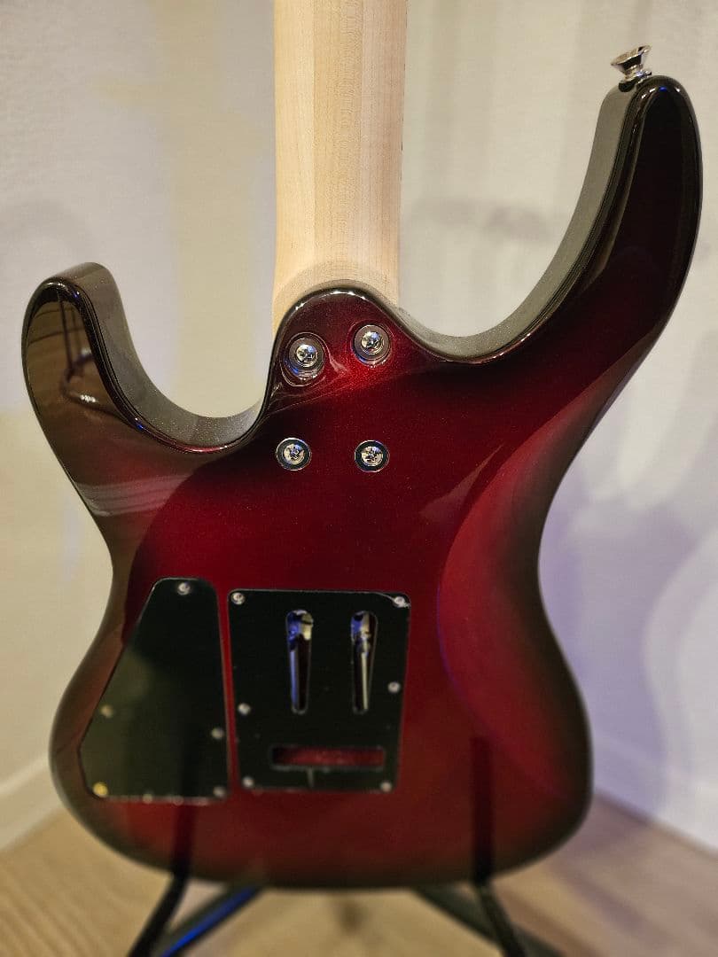 新品同様 Aria Pro II アリアプロ2 MACシリーズ おまけ付き