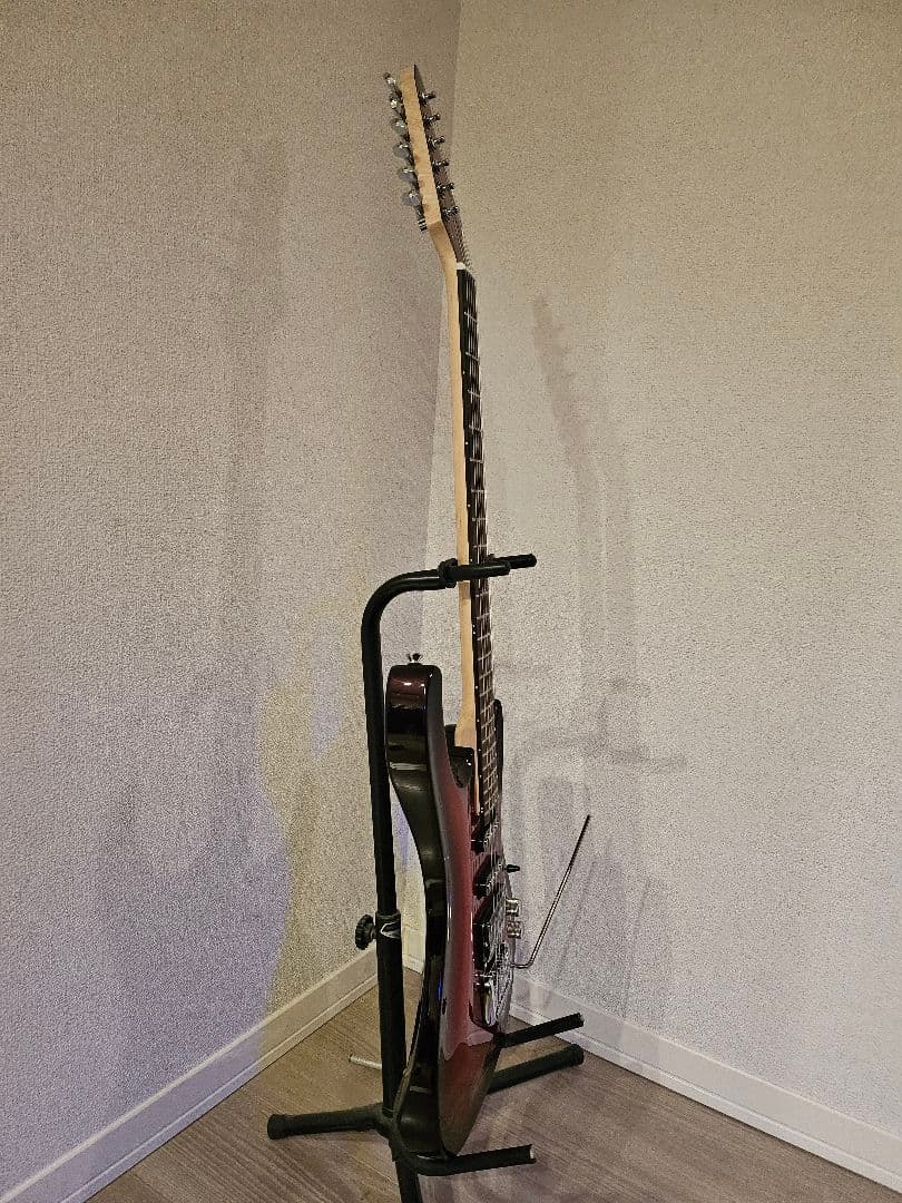 新品同様 Aria Pro II アリアプロ2 MACシリーズ おまけ付き