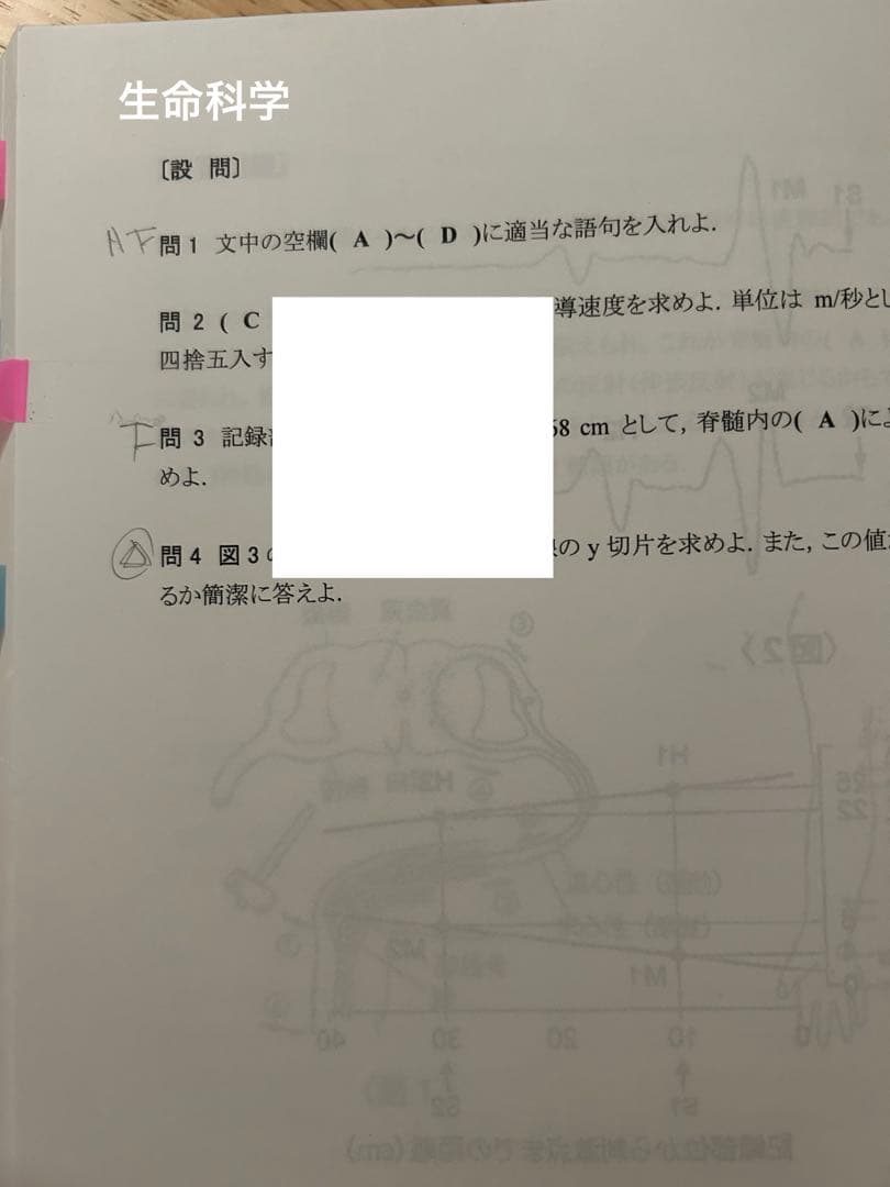 [セット] 2025 医学部編入テキスト集 生命科学 完成 実戦 河合塾KALS