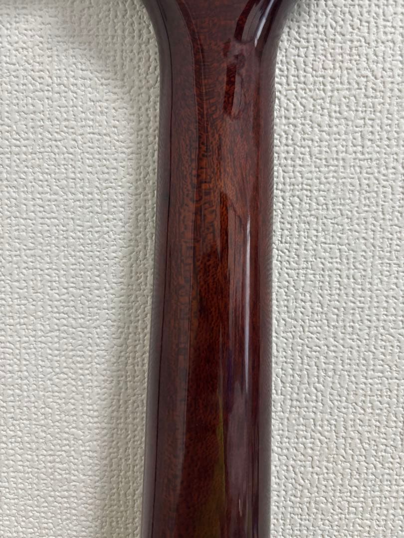 PlayTech LP-500 Premium F-Hole エレキギター